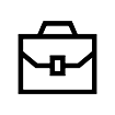 icono professional