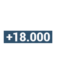 mbas flexibles